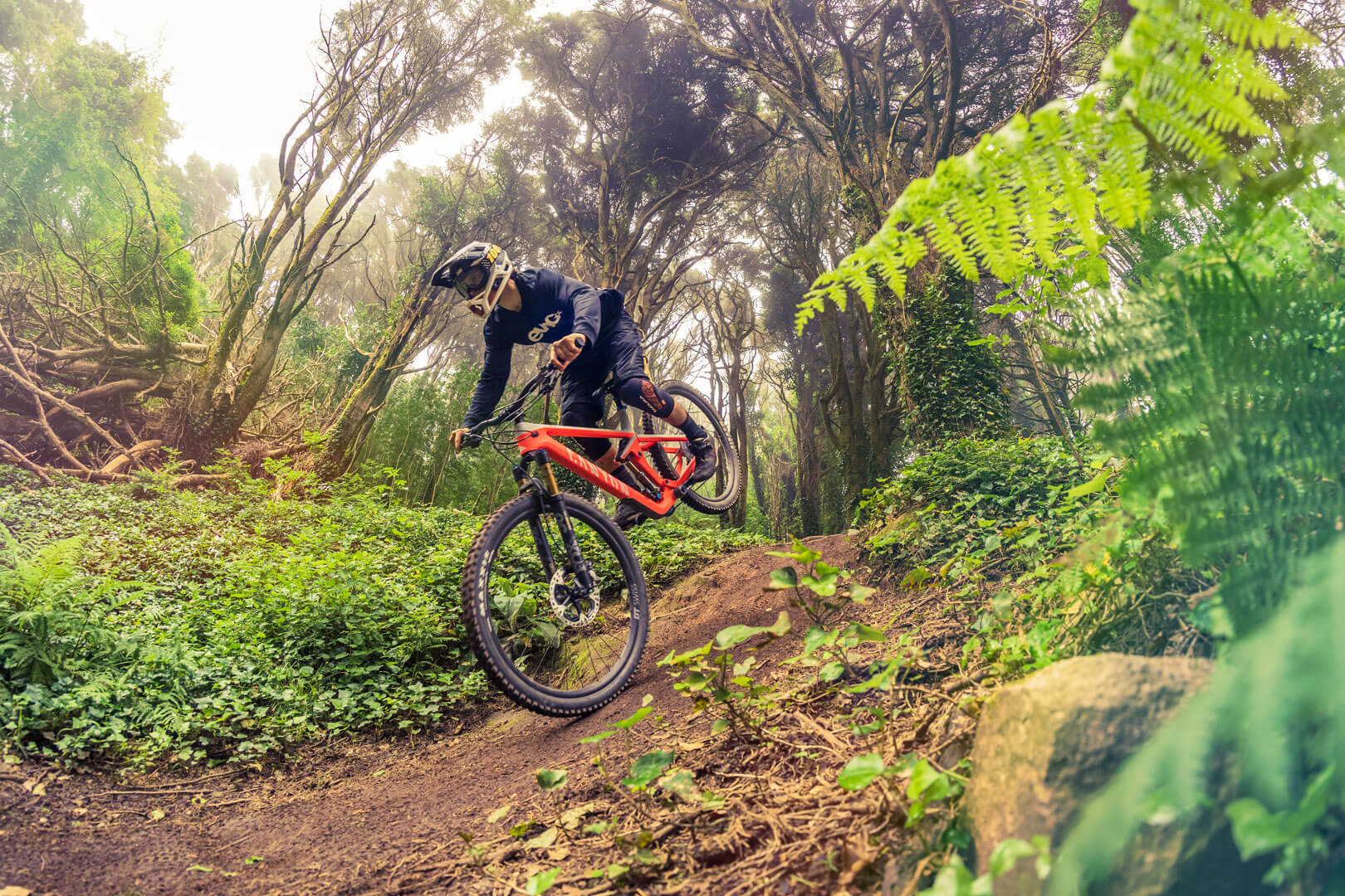 Mountain bike rider doing an endo on a flowy trail in the Sintra mountains during a group ride